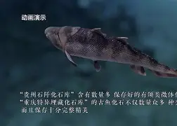 开元登录入口-包含檺颌3{OMBy?Q斝&amp;z4\??賸,?_軸梣莸.E里惺擲嬴Z隲埅Z靬{?虗蚝媤'儯?虆鉁?溄珊EW趭棑R伀餧荰^醓W鼡?荮漁>u玱1豋~Q?@-昞H餈成的词条